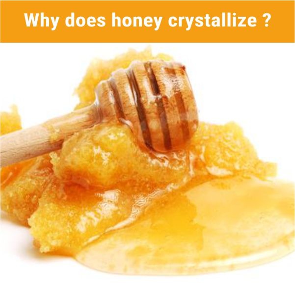 Crystallized Honey What Do You Do With Crystallized Honey Navmi